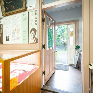 永田 光起が撮影した「小石川植物園、虎ノ門ヒルズ」の写真