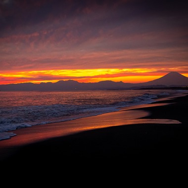 ms photoが撮影した「自然・風景」の写真