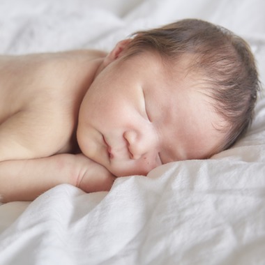 津田野 瑞希が撮影した「家族写真」の写真