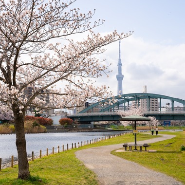 いんかが撮影した「風景.a」の写真