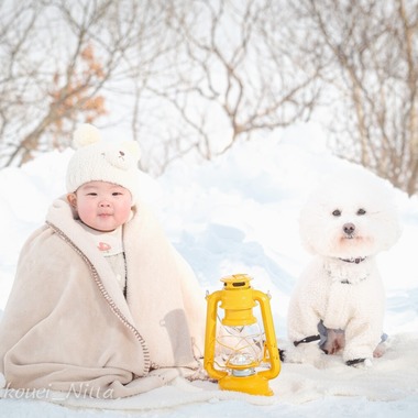 One&Only Photoが撮影した「家族写真（ペット＋）」の写真