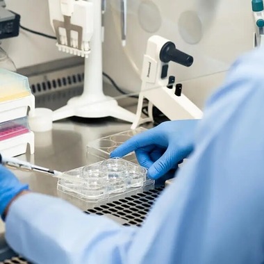 坂井竜治が撮影した「研究分野」の写真