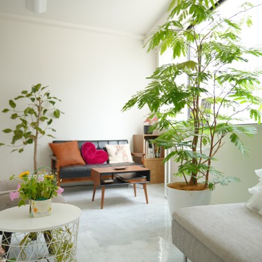 池田尚史が撮影した「店舗、オフィス、サロン、お部屋、物撮り」の写真