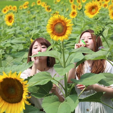 お祝い写し屋が撮影した「モデル、コーポレート撮影」の写真