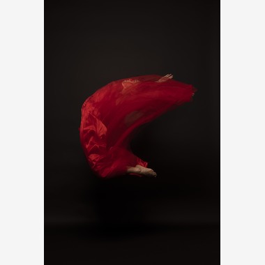 松尾　淳一郎が撮影した「アーティスト」の写真