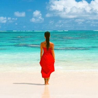 FRANK SAKAKIBARAが撮影した「CREAZIONE PAPANO」の写真