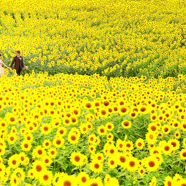 Wedding Produce FILが撮影した「フォトギャラリー」の写真