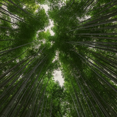 田近　ひとみが撮影した「その他」の写真