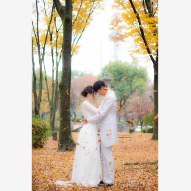 パシャ陽和が撮影した「」の写真