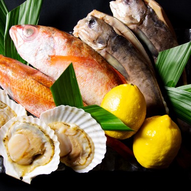 とうのまる制作室が撮影した「料理撮影　徳島県内居酒屋」の写真