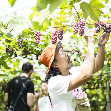 布川航太が撮影した「職人撮影-ワイナリー」の写真