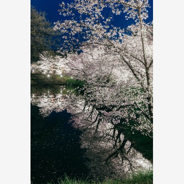 光画堂スタジオが撮影した「旅行」の写真