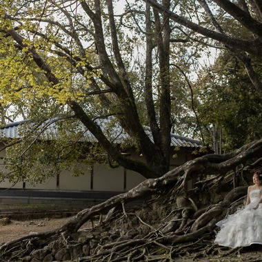 今西健二が撮影した「前撮りロケーション撮影」の写真