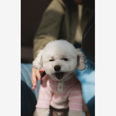尾崎健太郎が撮影した「飲食店店舗」の写真