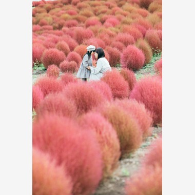 藤内誠一郎が撮影した「ファミリーフォト」の写真