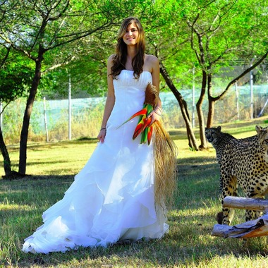 今林 浩一が撮影した「モーリシャス」の写真