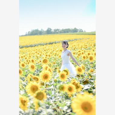 Photo taken by DESIGN STUDIO EE - Hokkaido Sun flower wedding photo