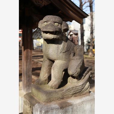 松浦写真事務所が撮影した「」の写真