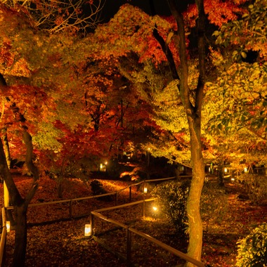 久保田　有一が撮影した「風景」の写真