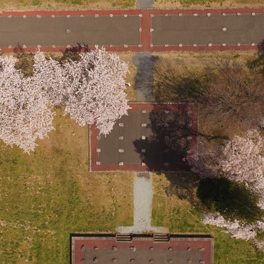 アナハイムエレクトロニクスが撮影した「桜イベント会場ロケハン」の写真