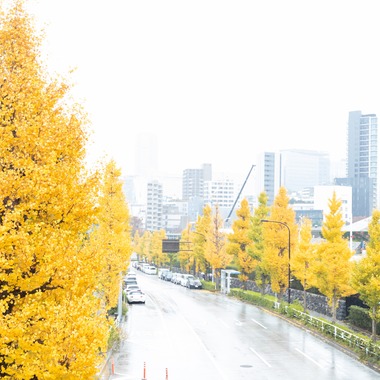 工藤が撮影した「風景写真」の写真