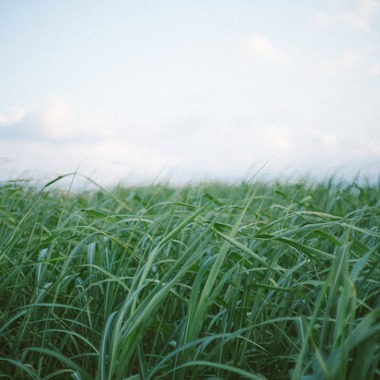 内村 円が撮影した「ポスター用撮影」の写真