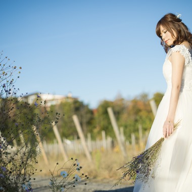 Photo taken by Roots - 