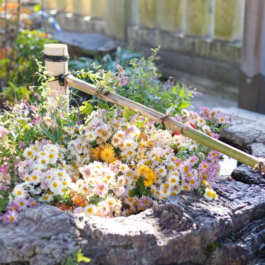 plus oneが撮影した「七五三　阿智神社、美観地区」の写真