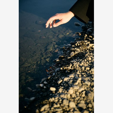 西澤 大和が撮影した「nature」の写真