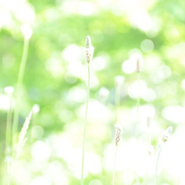 Photo taken by photoartistRYOTA - 