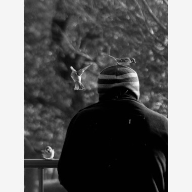 ハイナ　マテウスが撮影した「私の世界では」の写真