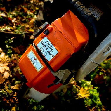 藤巻写真事務所が撮影した「フォレストワーカー」の写真