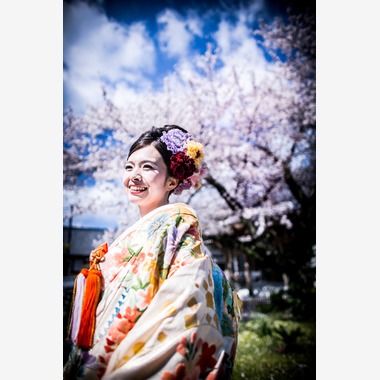 阿部写真館　大阪本町 靭公園前が撮影した「桜」の写真