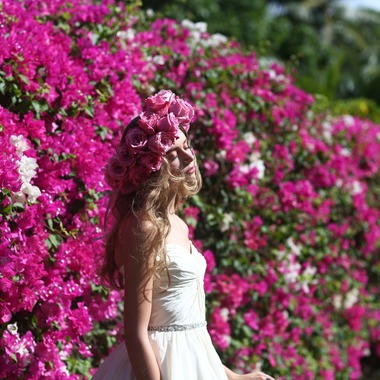 2cconcept (梅田福夫)が撮影した「フォトギャラリー」の写真