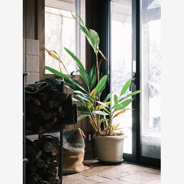 藤原和彦が撮影した「民泊・竣工撮影」の写真