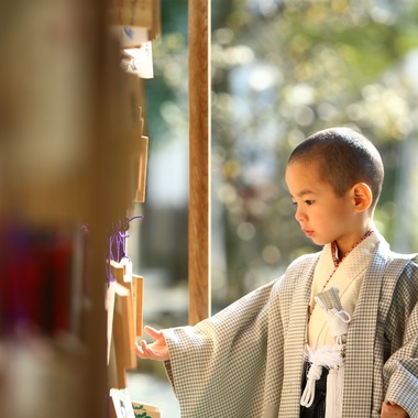Photographer  Tomoが撮影した「七五三祝い」の写真