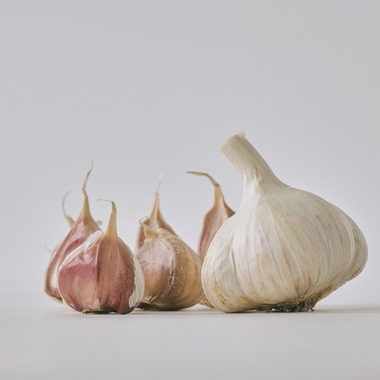 佐藤　陽亮が撮影した「農業法人：商品撮影」の写真