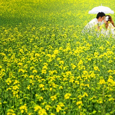 Wedding Produce FILが撮影した「フォトギャラリー」の写真