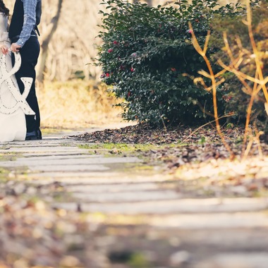 elle pupaが撮影した「愛知」の写真