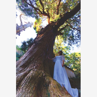 Photo taken by Nishiyan - 