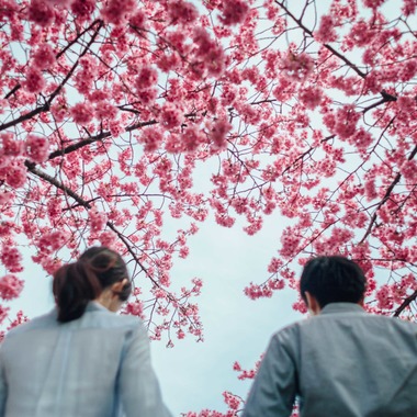 Rocographyが撮影した「Engagementphoto / Tokyo」の写真