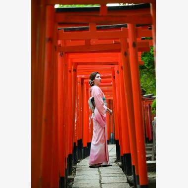アラタンホヤガが撮影した「着物撮影」の写真