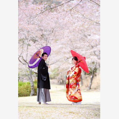 KIKIウェディングが撮影した「ピンクの桜」のウェディングフォト