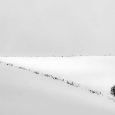 アンドCが撮影した「wabiSabi」の写真