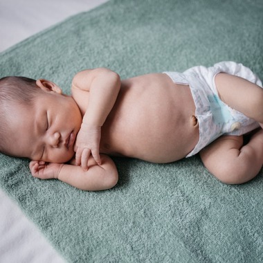 植村由理が撮影した「マリちゃん」の写真