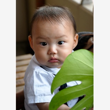 広沢写真事務所が撮影した「家族写真」の写真