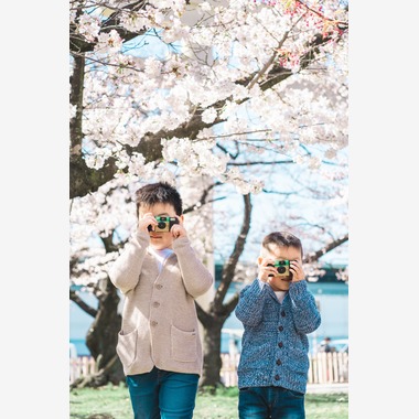 caponoが撮影した「桜」の写真