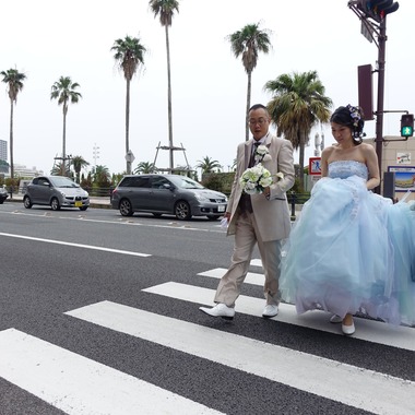 あとりえmagが撮影した「みかんの木」の写真