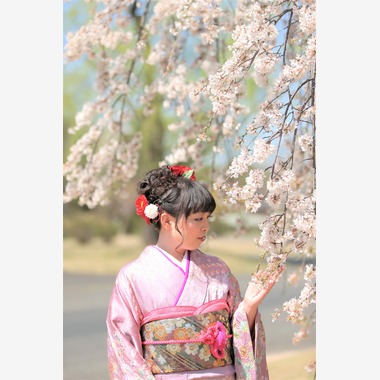 Photographer  Tomoが撮影した「成人の日」の写真