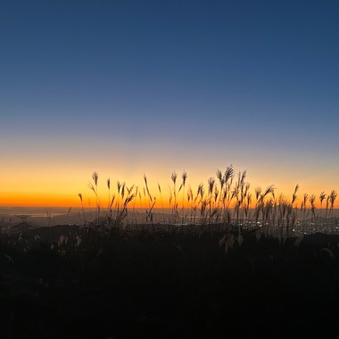 Proto Comが撮影した「いろいろ」の写真